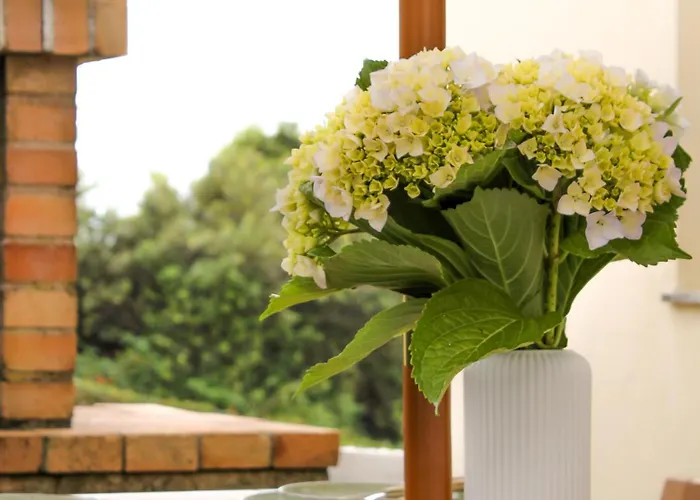 Апартаменты Casa Castillo,